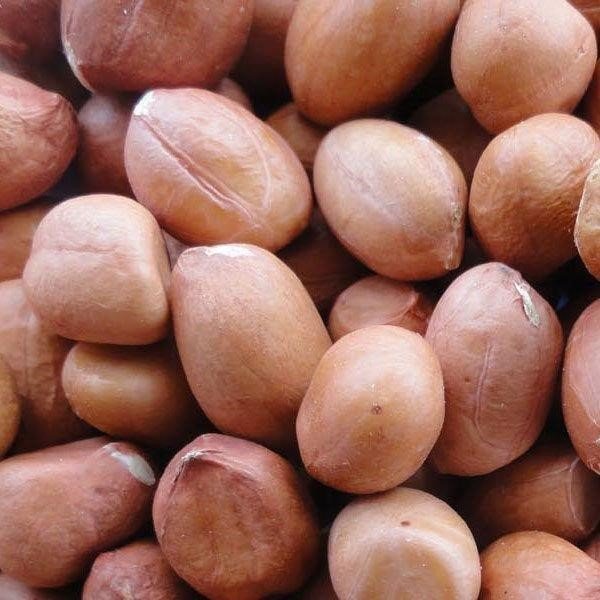 Peanut2