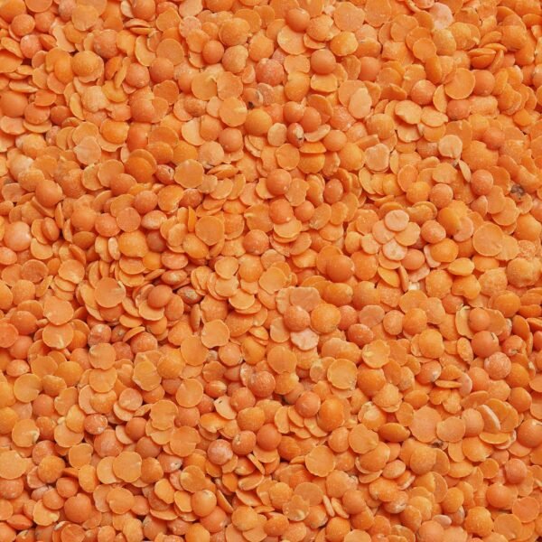 Red lentil (1)