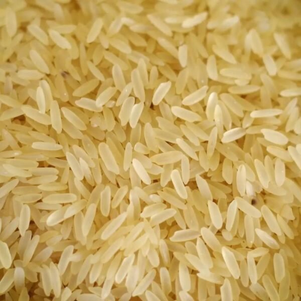 Rice-4