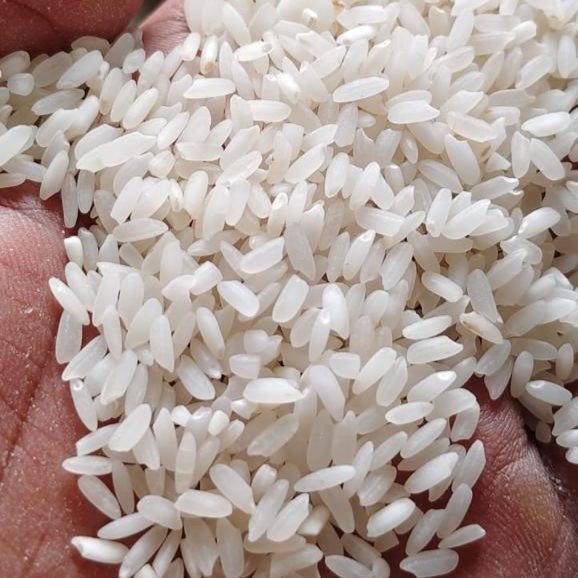 Rice-5