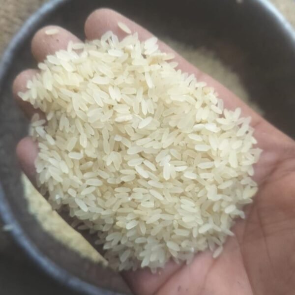 Rice-6