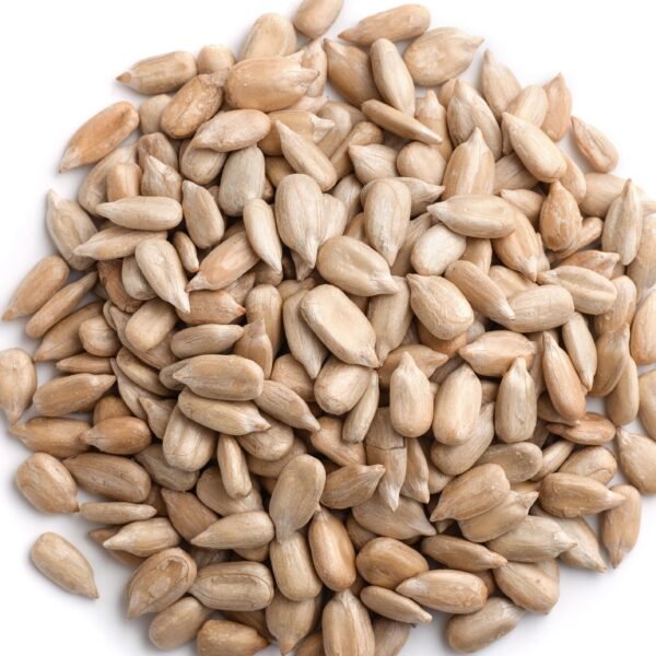 Sunflower Seed2