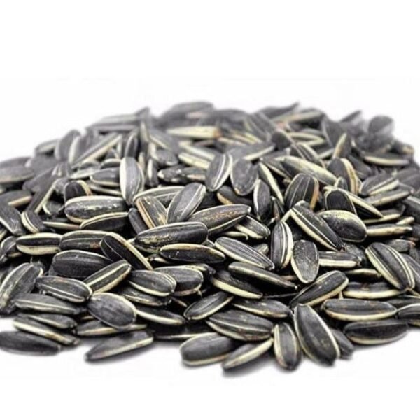 Sunflower Seed3