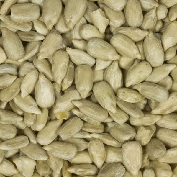 Sunflower Seed4