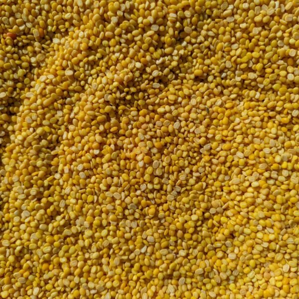 tuar dal1 (1)
